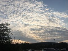 -天津梅江中心皇冠假日酒店