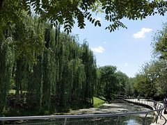 -长白岛森林公园