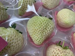 -山姆会员商店(杨桥西路店)
