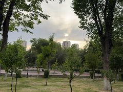 -鲤鱼山公园