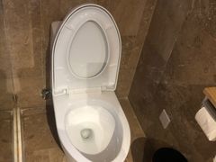 -松赞拉萨林卡酒店