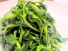 清炒豌豆尖-渝信川菜 · 川味家常菜(财富购物中心店)