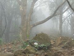 -梧桐山风景名胜区