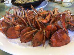 -鑫悦楼煎蟹·16年海鲜大排档