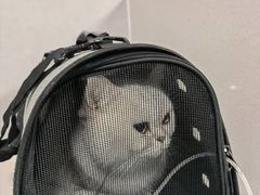 -伟伟宠物医院·CT影像中心·瑞派犬猫综合性门诊(汉口总院)