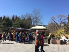 -北京植物园-展览温室