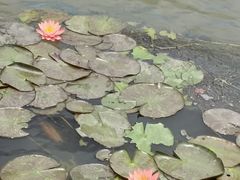 -芒洲湿地公园