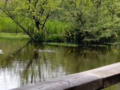 -西湖风景区-江洋畈生态公园