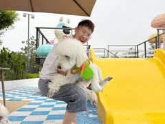 -爪吧宠物乐园 (温榆河示范区店)