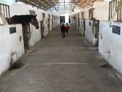 -松声马术俱乐部