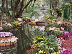 -上海共青森林公园