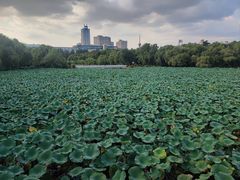 -长春市南湖公园