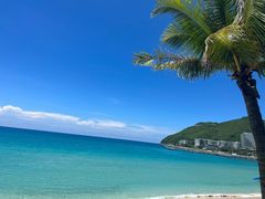 -范饭椰林川湘味海鲜·椰子鸡(三亚湾椰梦长廊店)