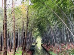 -同里国家湿地公园