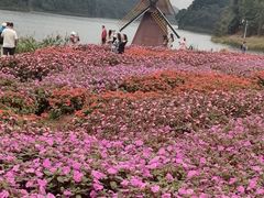 -广州市石门国家森林公园