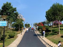 -东莞植物园