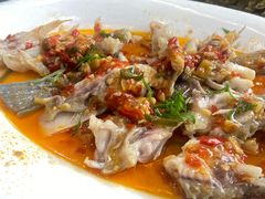 -港升鱼师傅·中山脆肉鲩