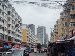-哈尔滨道外花鸟鱼市场