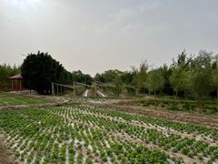 -敦煌莫高国际机场