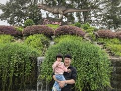 -自贡恐龙博物馆