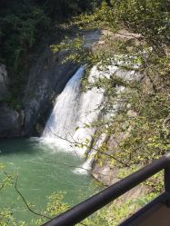 -YESIDO椰岛造型烫发染发