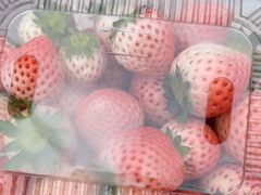 -大自然农场蔬菜草莓采摘园