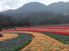 -广州市石门国家森林公园