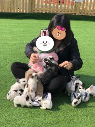 -萌宠亲子动物乐园(槐房万达店)