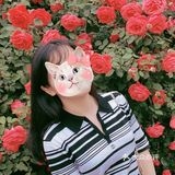 花都开好了，就等你来