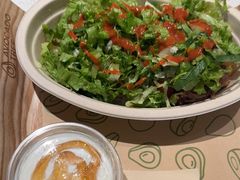 -油梨树 AVOCADO TREE(亮马桥店)