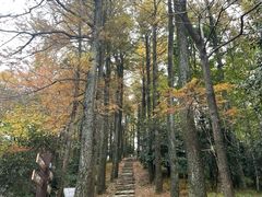 -莫干山风景区