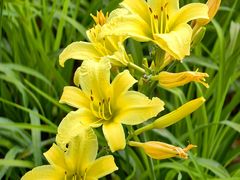 -汉长安城未央宫国家考古遗址公园