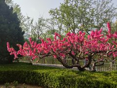 -元大都城垣遗址公园