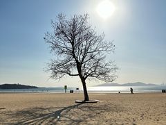 -青岛第一海水浴场