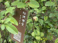 -中国农业博物馆