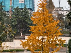 -环城公园-琥珀潭