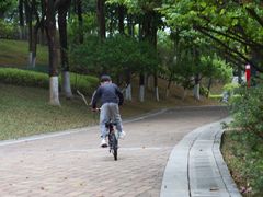 -玉树公园