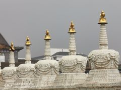 -大召无量寺