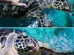 -正佳极地海洋世界
