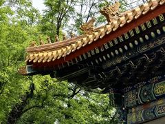-国家植物园