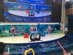 -成都浩海立方海洋公园