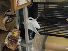 -毛家湾公馆(东圃店)