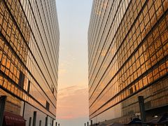 -香港皇家太平洋酒店