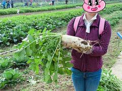 -上膳源有机农场