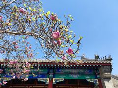 -恭王府博物馆