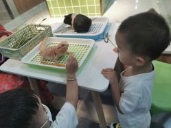 -Moni星球萌宠·小马宝莉·灵蛇·高端高阶全萌宠互动体验俱乐部(红豆国际广场店)
