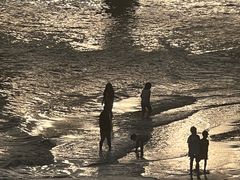 -演武大桥观景平台