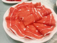 -友谊肥牛
