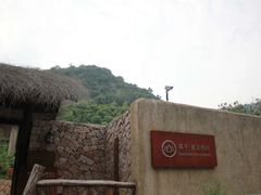 -看见远方·莫干遥远的山民宿