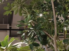 大堂-gaga(深圳福田星河COCO Park店)